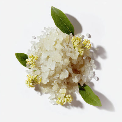 Ingredient
